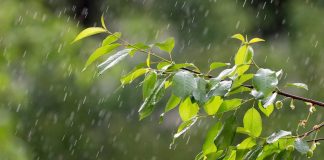 Διαδοχικά κύματα βροχοπτώσεων έως την Πέμπτη – Επιστρέφει η αφρικανική σκόνη