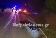 Ναυπακτία: Σφοδρή σύγκρουση αυτοκινήτου με άγριο άλογο (Βίντεο)