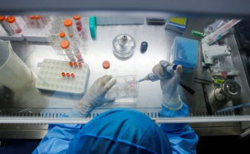 Ο πρώτος έμβιος μικροοργανισμός με DNA κατά 100% ανασχεδιασμένο από τους ανθρώπους