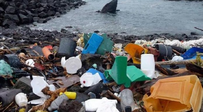 WWF: Η Γαλλία ο μεγαλύτερος παραγωγός πλαστικών αποβλήτων στη Μεσόγειο