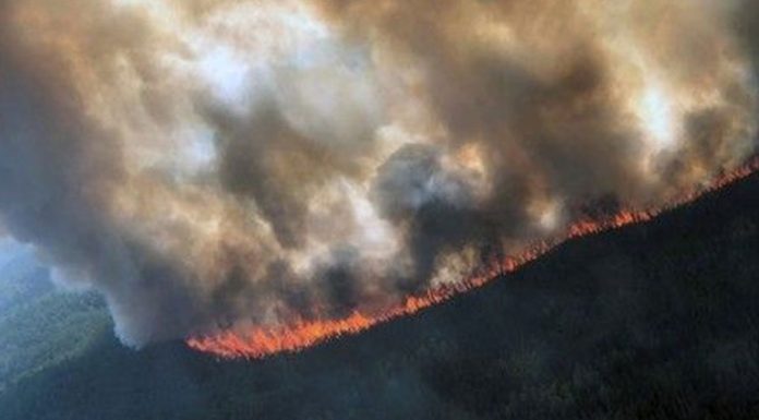 Καύσωνας έχει προκαλέσει δεκάδες δασικές πυρκαγιές στην Αλάσκα