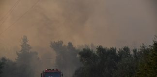 Εύβοια: Σε κατάσταση έκτακτης ανάγκης ζήτησε να κηρυχτούν οι πληγείσες περιοχές ο Κ. Μπακογιάννης