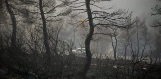 Κρανίου τόπος η Εύβοια: Στάχτη το δάσος Natura – Συνεχίζει το καταστροφικό της έργο η φωτιά