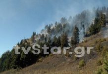 Μεγάλη φωτιά στα Άγραφα: Μάχη με τις φλόγες δίνουν οι πυροσβέστες
