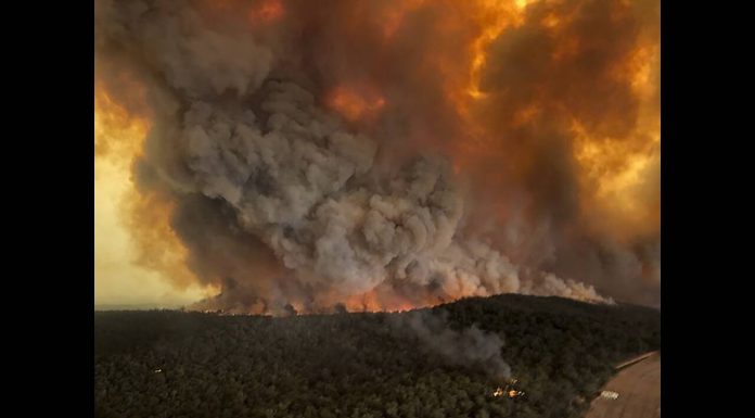 Μαίνονται ανεξέλεγκτα οι δασικές πυρκαγιές στην Αυστραλία
