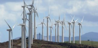 Φορείς της Εύβοιας: Ετοιμάζεται νομοσχέδιο που προωθεί την καταπάτηση δασών;