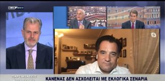 Αδωνις Γεωργιάδης