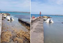 Σείεται η Κρήτη από τις συνεχείς δονήσεις – Παλιρροϊκό κύμα από τον ισχυρό σεισμό (Βίντεο)