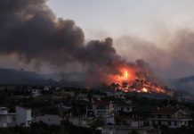 Κεχριές: Πολλές διάσπαρτες εστίες με διαρκείς αναζωπυρώσεις