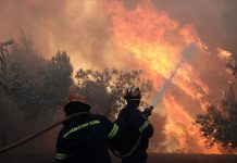 Κεχριές: Συνεχίζεται η μάχη για τον έλεγχο της πυρκαγιάς – Καταγγελίες για εμπρησμό