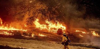 Καταστροφή άνευ προηγουμένου στην Καλιφόρνια: 16 εκατ. στρέμματα έχουν γίνει στάχτη