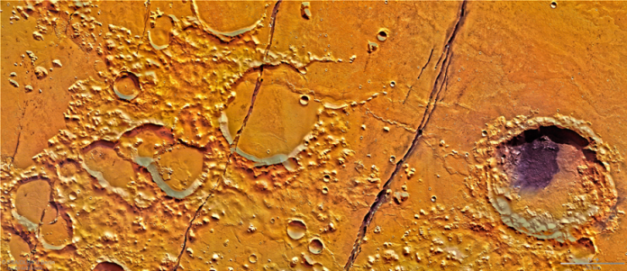 aruis_cerberus