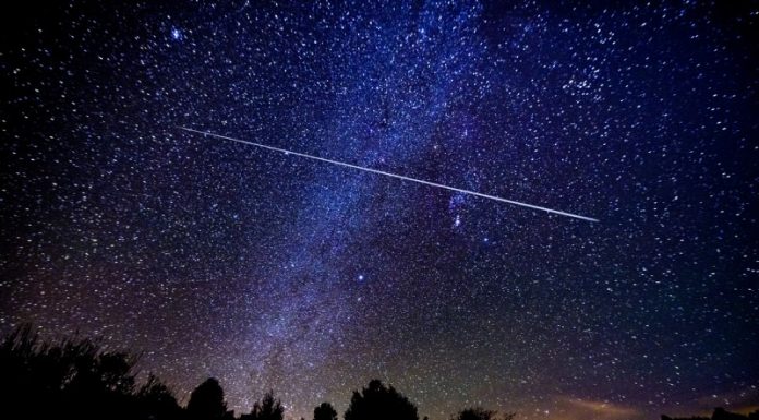 Τα πρώτα «πεφταστέρια» της άνοιξης κορυφώνονται και στην Ελλάδα