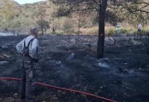 Φωτιά στον Υμηττό: Άμεση επέμβαση της Πυροσβεστικής – Εμπρησμό καταγγέλλει ο Δήμαρχος Ελληνικού