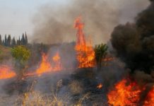 Μεγάλες πυρκαγιές σε Μακρακώμη και Ωραία Ελένη: Νέα φωτιά στην Κόρινθο