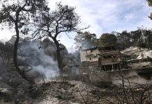 Από ελαιώνα ξεκίνησε η πυρκαγιά στον Σχίνο Λουτρακίου: Στάχτη 20.000 στρέμματα δάσους