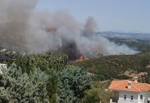 Έκτακτη ενημέρωση από Ν. Χαρδαλιά και Μ. Χρυσοχοΐδη για την φωτιά στη Σταμάτα