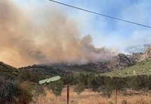 Μαίνεται η φωτιά στην Αργολίδα: 49 δασικές πυρκαγιές σε 24 ώρες σε όλη την χώρα