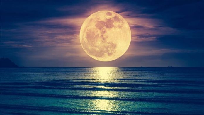 moon-wobble