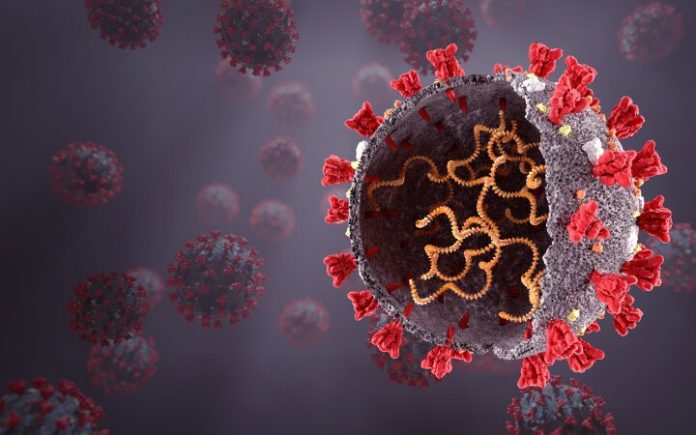 Corona,Virus,,Sars,Cov,2,,2019,Ncov,News,And,Blogs