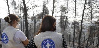 Οι επιστήμονες δίπλα στους πυρόπληκτους της Ευβοίας: Κανείς να μη μείνει μόνος και αβοήθητος