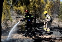 Δίωξη σε βαθμό κακουργήματος σε βάρος του εμπρηστή στην Πετρούπολη