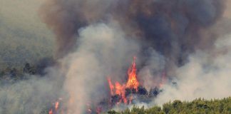 Εύβοια: Ξέσπασε φωτιά στο Μετόχι Καρύστου