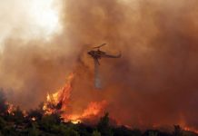 Κοντά σε σπίτια η φωτιά στα Βίλια: Ενισχύονται συνεχώς οι πυροσβεστικές δυνάμεις
