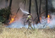 Βελτιωμένη η κατάσταση στην Αττική αλλά παραμένει επικίνδυνη: Μάχη με τις αναζαπυρώσεις