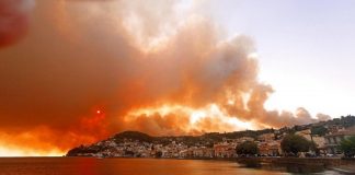 Πύρινος όλεθρος στη Λίμνη Ευβοίας: Καθηλωμένα τα εναέρια μέσα – Μετρούν τα καμένα σπίτια