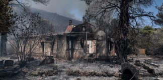 Σε λειτουργία η πλατφόρμα για τους πυρόπληκτους: Έως 30/9 οι αιτήσεις για την αποζημίωση