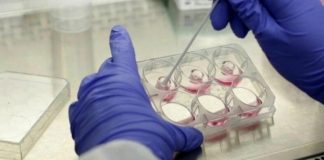 Ήρθε η ώρα των μονοκλωνικών αντισωμάτων: Ξεκινά η χορήγηση τους σε 10 νοσοκομεία