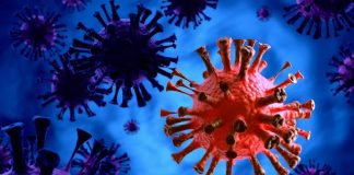 Τι λένε επιστήμονες του ΕΚΠΑ για την Delmicron και τη Florona