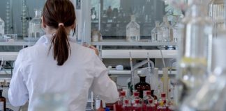 Κρούσμα ευλογιάς των πιθήκων στην Ελλάδα: Ελάχιστος ο κίνδυνος για τον πληθυσμό