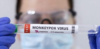 ΕΟΔΥ: Πρώτο κρούσμα ευλογιάς των πιθήκων στην Ελλάδα