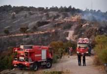 Πάνω από 4.000 καμμένα στρέμματα σε Γλυφάδα – Βούλα – Βάρη