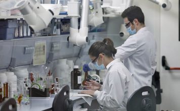 Δεκατρία περιστατικά της ευλογιάς των πιθήκων έχουν επιβεβαιωθεί στην χώρα μας