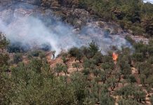 Πολύ καλύτερες οι εικόνες των πυρκαγιών σε Μάνδρα και Χαϊδάρι