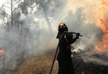 Σπάρτη: Πυρκαγιά σε δασική έκταση στην περιοχή Βασιλική