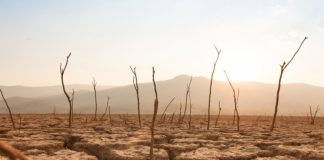 Η κλιματική αλλαγή μπορεί να φέρει το τέλος της ανθρωπότητας