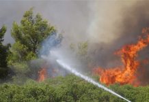 Μεγάλη πυρκαγιά στον Σχίνο Μεσσηνίας: Προληπτική εκκένωση της κοινότητας Μεσοχώρι