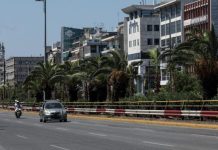 Άλλαξε ριζικά η εικόνα της Λ. Συγγρού με την δενδροφύτευση 300 Φοινίκων