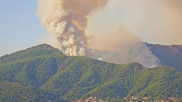 thasos-fotia-arthro