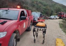 Τραγωδία στην Κεφαλονιά: Φορτηγό έπεσε σε γκρεμό 200μ., νεκροί οι δυο επιβαίνοντες