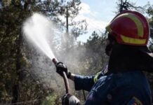Πυροπροστασία Περιφέρειας Αττικής: Βασικές προτεραιότητες η πρόληψη και η προστασία της ζωής