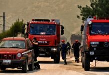 Πολύ υψηλός κίνδυνος πυρκαγιάς για 6 περιφέρειες της χώρας