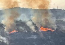 Πυρκαγιά σε δασική έκταση στο Μαρκόπουλο Ωρωπού
