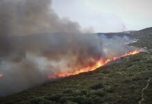 Σε εξέλιξη δύο πυρκαγιές στην Άνδρο: Μήνυμα του 112 στους κατοίκους της περιοχής Γίδες