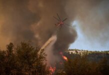 Μάχη σε 4 μέτωπα στον Έβρο: Αγωνιώδεις προσπάθειες για να σωθεί η Δαδιά