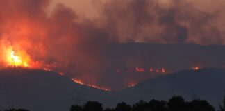 Εντοπίστηκαν 18 σοροί στον Άβαντα Αλεξανδρούπολης